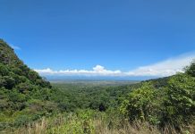 Ecopetrol e ISA Energía sellan acuerdo para conservar el bosque seco tropical en el Huila